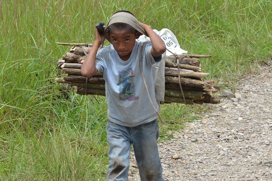 Young boy carrying bundle of sticks
