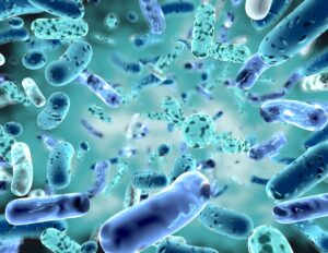 Rendering of probiotics. 